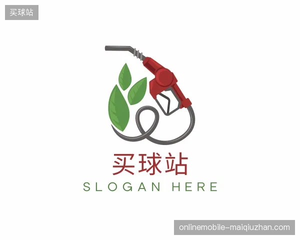 解读买球站官方网站